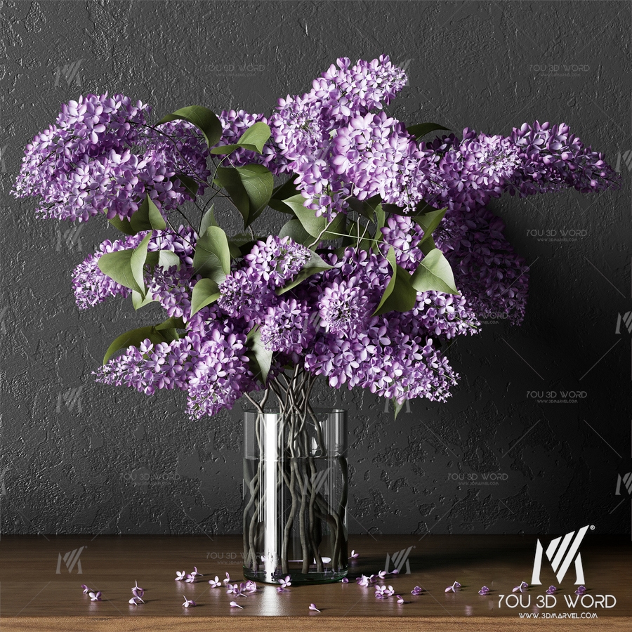 PLANT_004